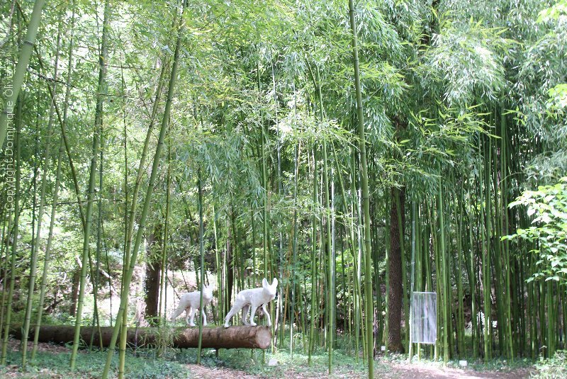 Arboretum de Veigné 