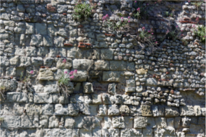 
			   muraille gallo-romaine Tours