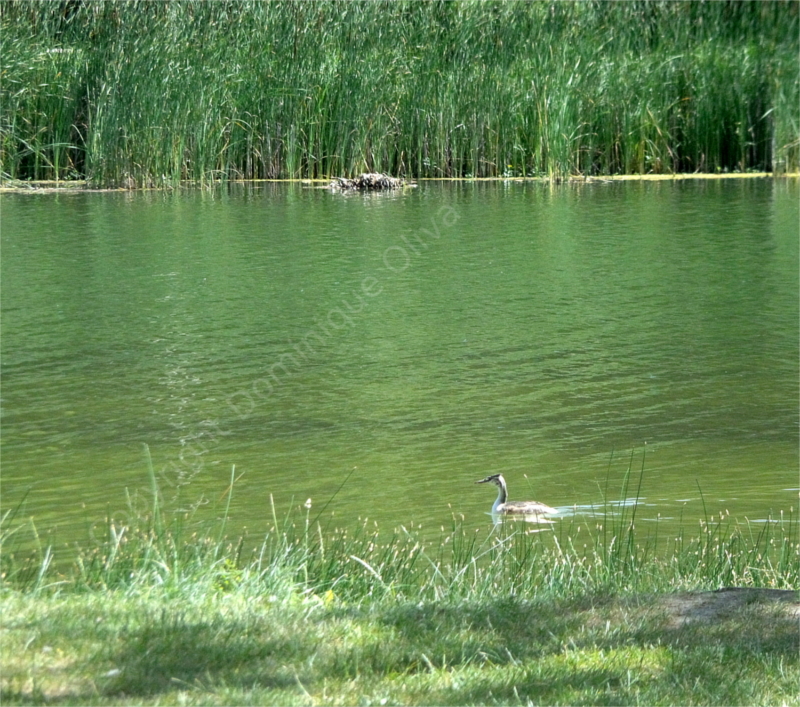 climatisation naturelle ! 